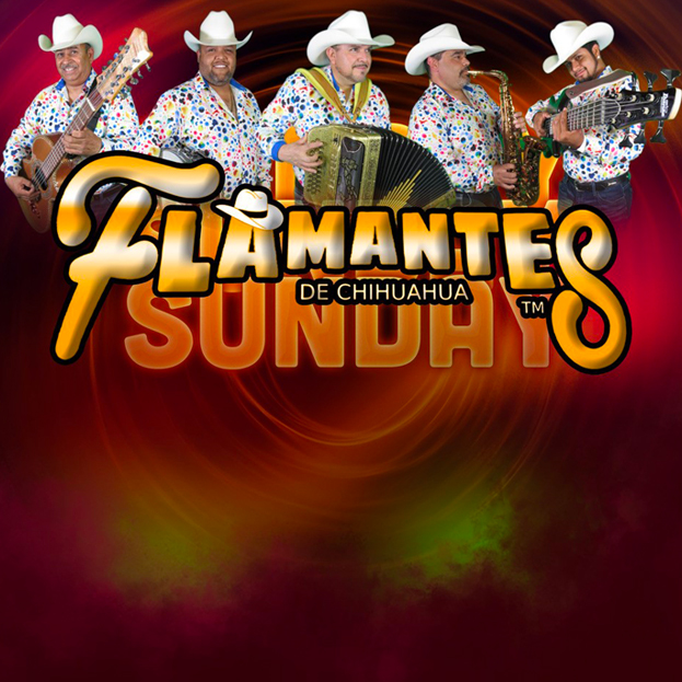 Flamantes de Chihuahua